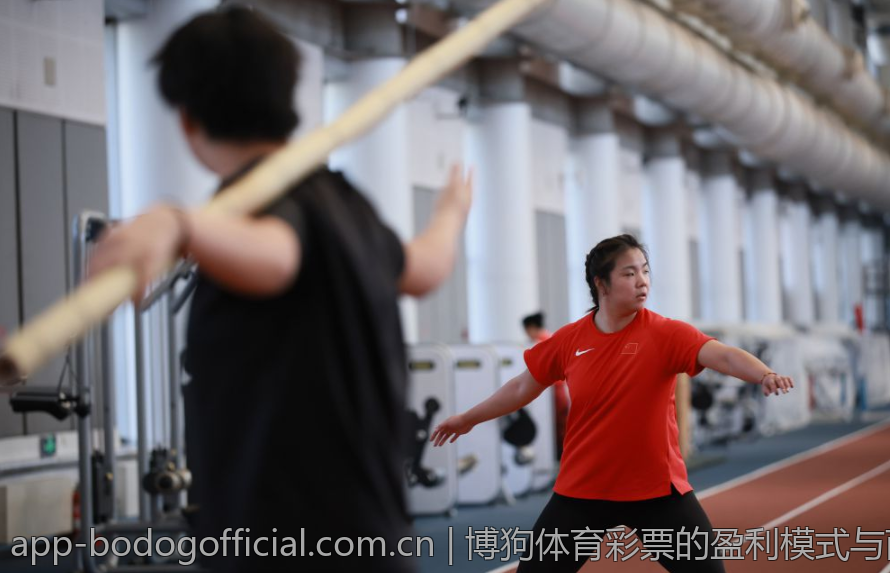 博狗体育彩票的盈利模式与商业分析