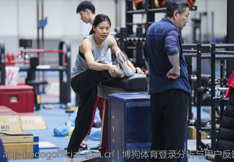 博狗体育登录分析与用户反馈