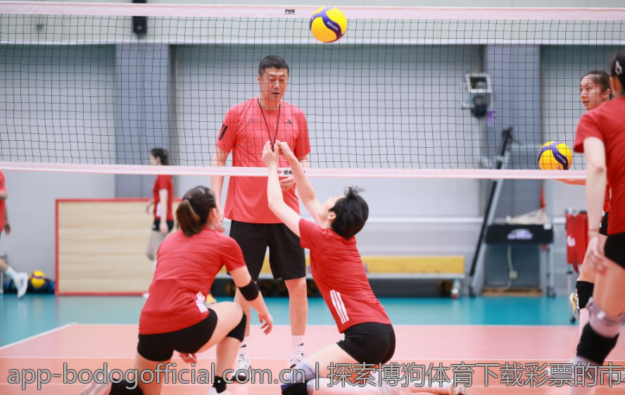 探索博狗体育下载彩票的市场前景与策略