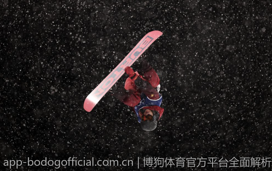 博狗体育官方平台全面解析