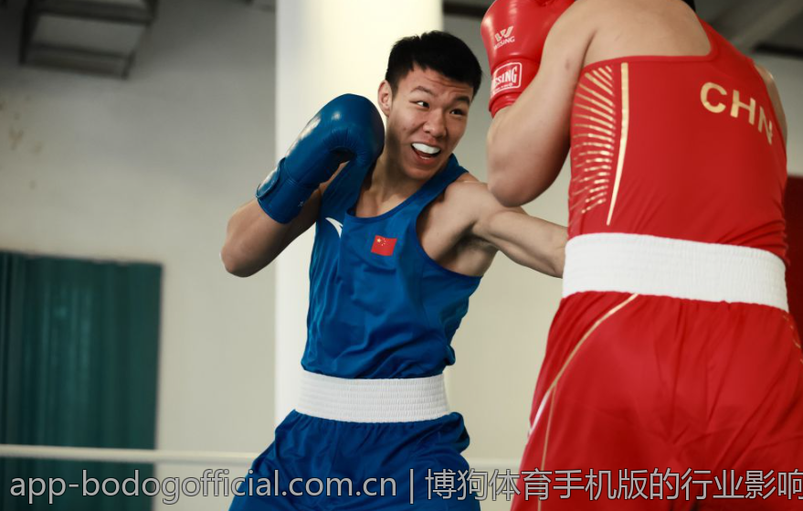 博狗体育手机版的行业影响力与市场地位