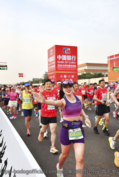 博狗体育比分彩票专家访谈与分析见解